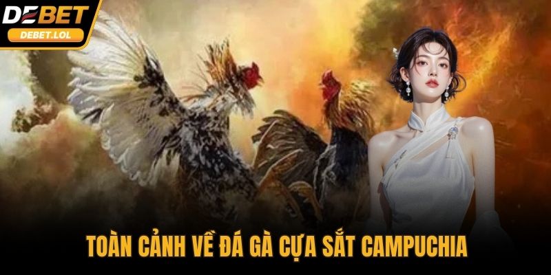 Toàn cảnh về đá gà cựa sắt Campuchia